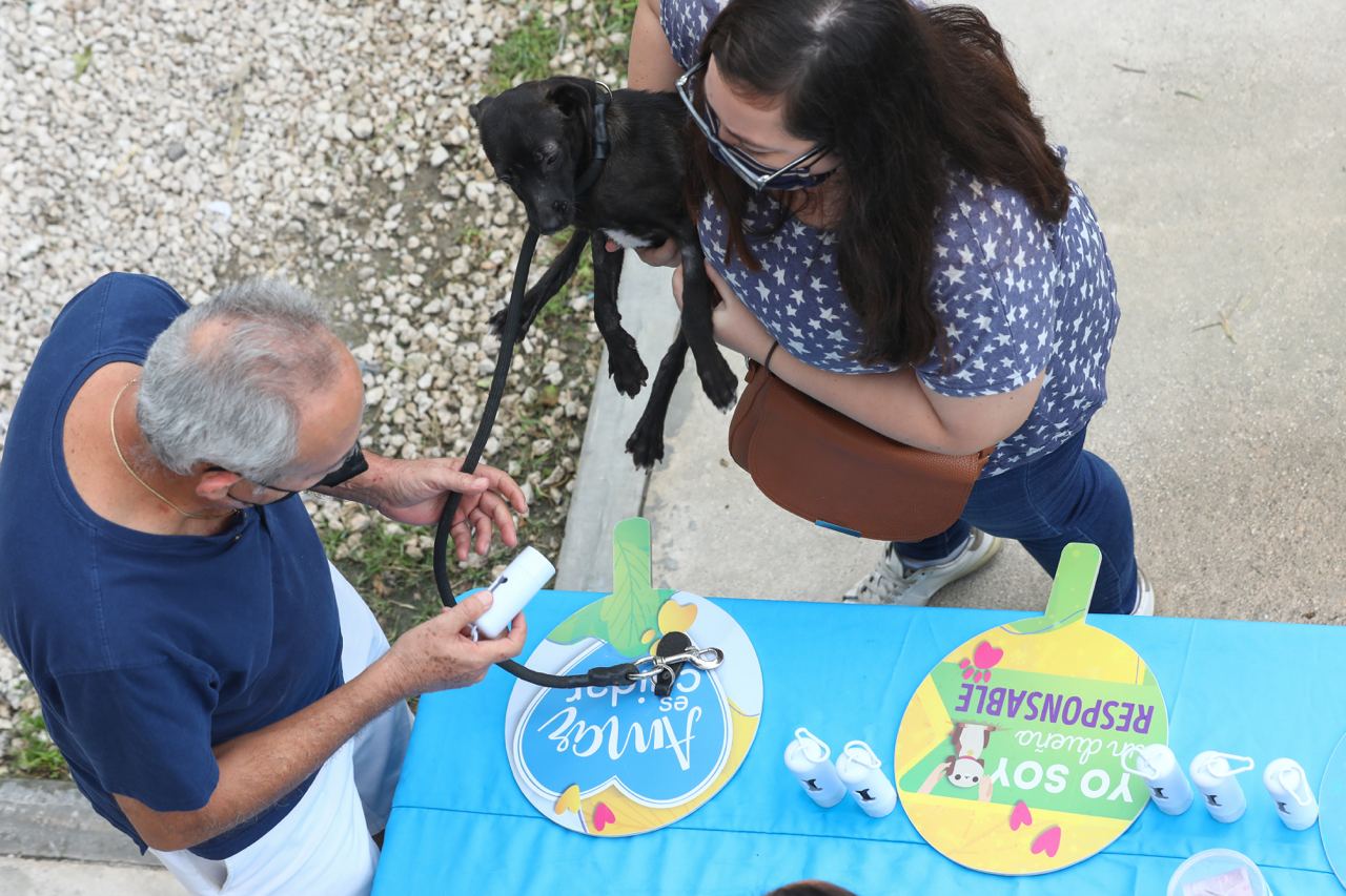 Realiza Gobierno de Benito Juárez segunda campaña de adopción canina
