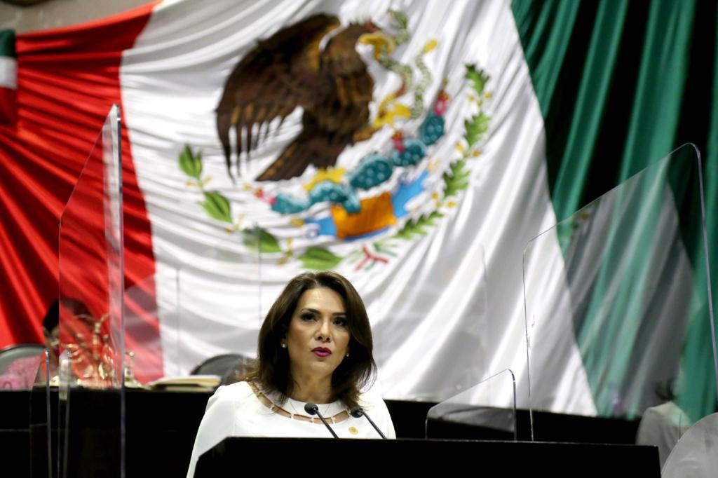 ¿SORPRESAS EN LA 4T? | Adriana Teissier podría ir a reelección en el D1, y anuncian un «tapado» en el D2
