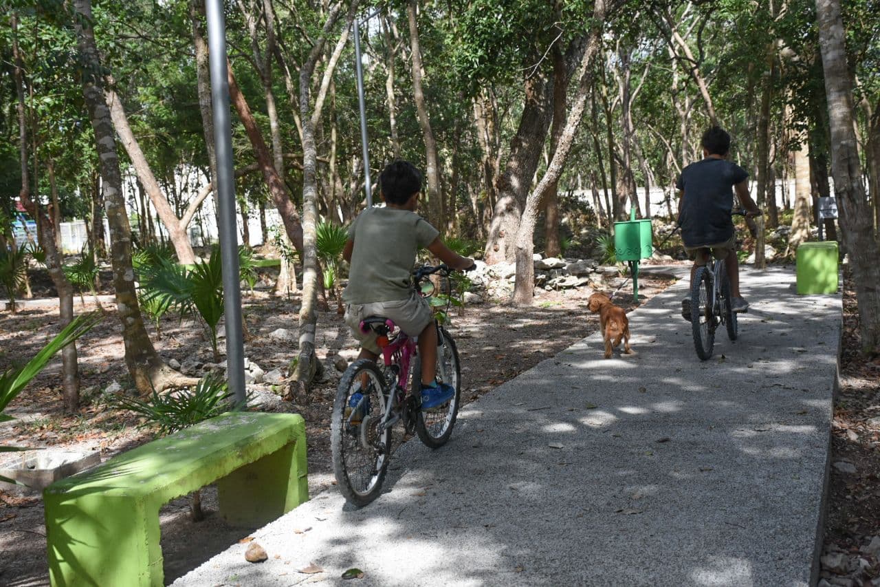 Mejora Gobierno de Laura Fernández el Parque Punta Corcho, pulmón verde de Puerto Morelos