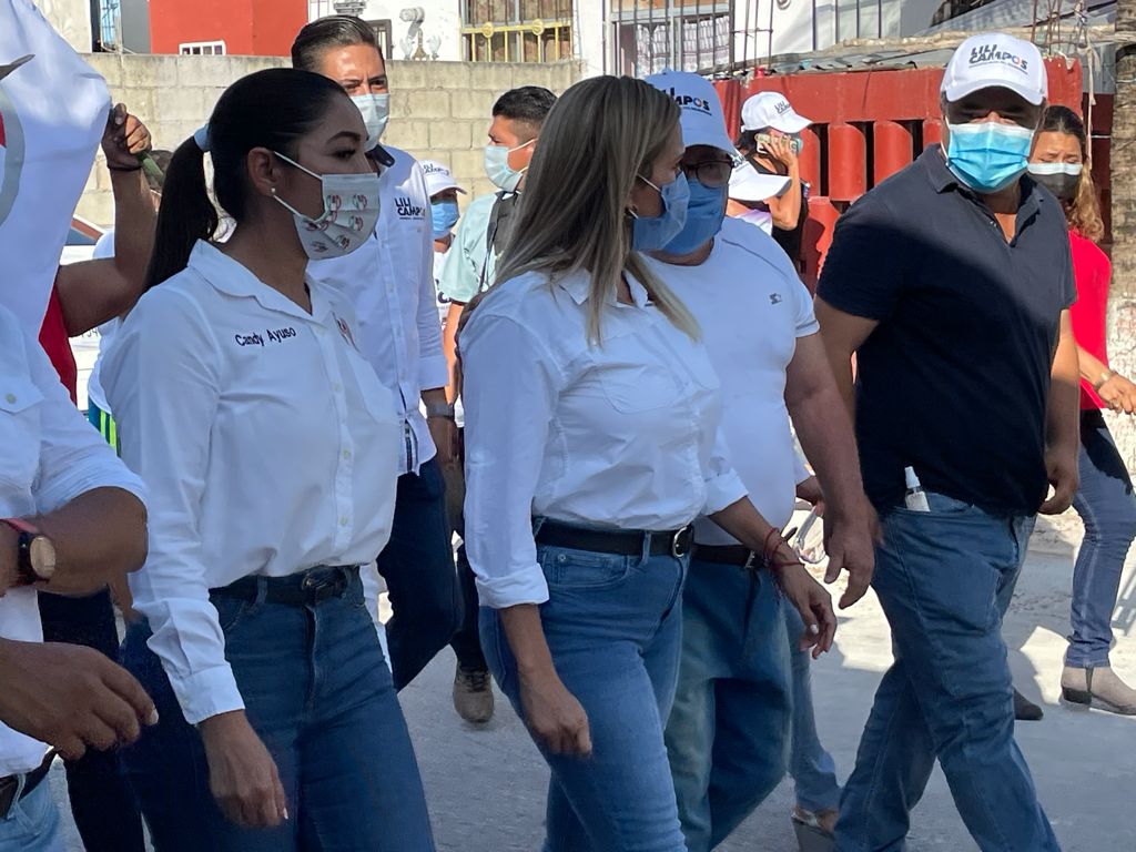 Lili Campos también pide separar a Sergio Avilés de los juicios por la elección en Solidaridad (documento)