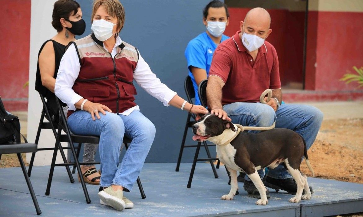 Gobierno de Solidaridad a la vanguardia en la protección y cuidado de los animales