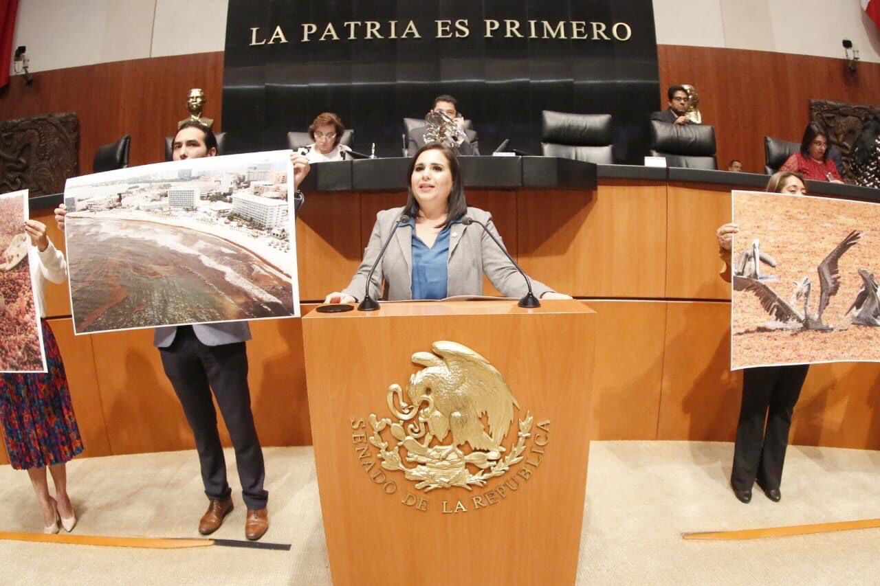 “Urge incluir al sargazo como desastre natural; éste ya rebasó a la Semar”: Mayuli Martínez