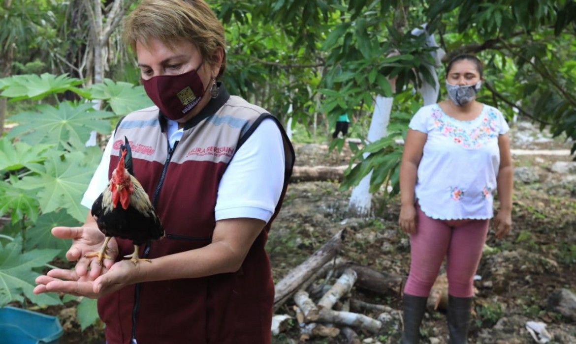 Incentiva gobierno de Laura Beristain producción ganadera de Solidaridad