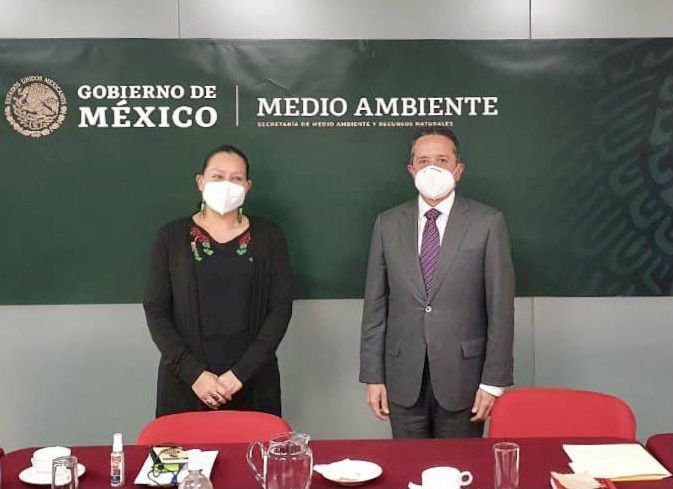 ¿CAE OTRO PROYECTO SEXENAL? | PMOTEDUS de Tulum, FCP, Cozumel y OPB; suspendidos por la justicia