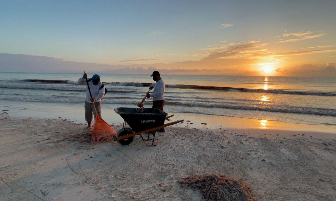 Mantienen las playas de Tulum limpias y libres de sargazo