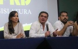 Laura Fernández participa en reunión de diputados federales del PRD