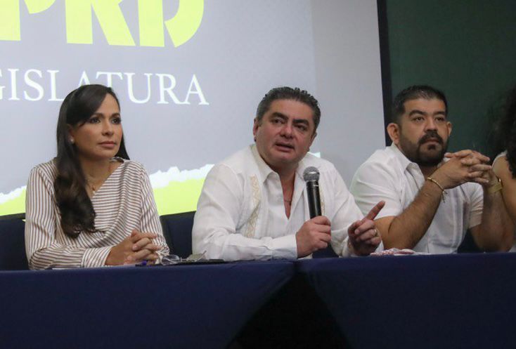 Laura Fernández participa en reunión de diputados federales del PRD