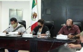 Postulan a 13 personas para la titularidad de la Comisión de los Derechos Humanos; incluye a la verde ecologista Judith Rodríguez