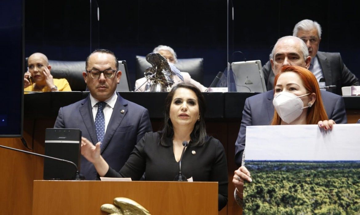 “Titulares de Fonatur, Semarnat y Profepa deben responder por el daño a nuestros recursos naturales”: Mayuli Martínez