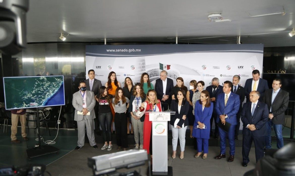 Senadora panista Mayuli Martínez y ecologistas de QR piden frenar construcción del Tramo 5 del Tren Maya