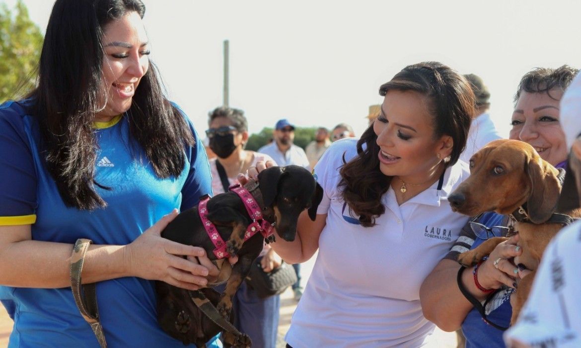 Laura Fernández hará de Quintana Roo un estado Pet-Friendly