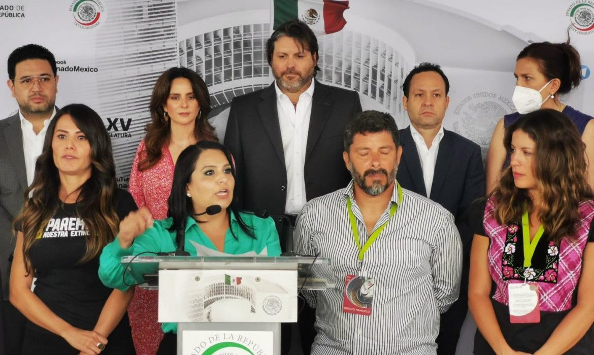 Especialistas advierten de una catástrofe por obras del Tren Maya: Mayuli Martínez