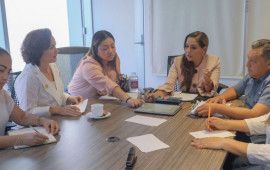 ¿CONFLICTO EN PUERTA? | Ayuntamientos ya no emitirán licencias de conducir; lo hará el Imoveqroo y se quedará con el 20% de los recursos (documentos)