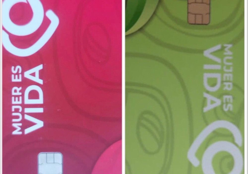 Congreso exhorta al Gobierno a sacar de circulación las tarjetas verdes y guindas del programa “Mujer es Vida”