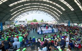 Partido Verde convoca a cancunenses a ganar las encuestas para Claudia Sheinbaum