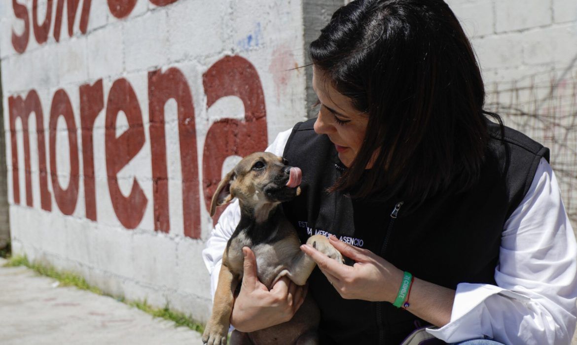 Propone Estefanía Mercado endurecer sanciones por maltrato animal