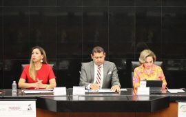 Entre Marybel y Ana Lilia Rivera quedará la presidencia de la Mesa Directiva del Senado