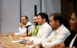 INTERFACE | La reconfiguración del Congreso, y el poder del Verde Ecologista