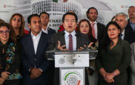Delgado dijo que el 15 de diciembre tendrán candidatos al Senado, y adelantó que los senadores actuales participarán de la encuesta para su posible reelección
