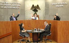 MÁS PROBLEMAS PARA EL TEQROO | Xalapa le ordena definir de fondo el tema de las candidaturas para personas con discapacidad