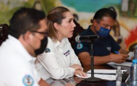 “YA NO HAY PA’ DÓNDE” | Atenea dice que no se puede construir más en la isla ¿fin al proyecto turístico en la Aeropista?