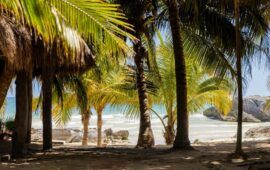 Diego Castañón anuncia próxima apertura de nuevo acceso público a playas de Tulum