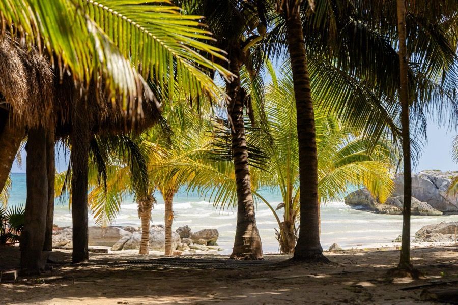 Diego Castañón anuncia próxima apertura de nuevo acceso público a playas de Tulum