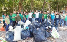 Renan Sánchez moviliza a comités municipales del Verde para limpiar playas, cenotes y espacios públicos