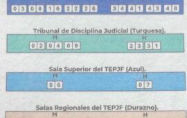 ACORDEÓN “SIN RASTROS” | MORENA reparte listas de candidatos al PJ en obleas comestibles de papel arroz