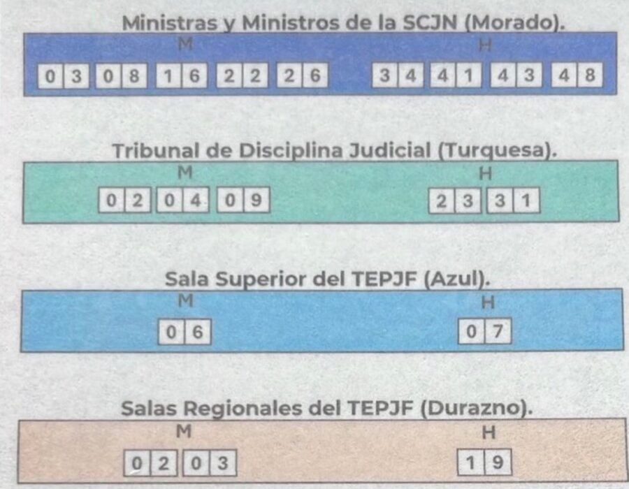 ACORDEÓN “SIN RASTROS” | MORENA reparte listas de candidatos al PJ en obleas comestibles de papel arroz
