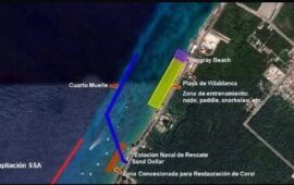 “Protección del ecosistema arrecifal” | Semarnat anuncia que revisará proyecto del cuarto muelle de Cozumel