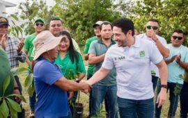 En el Día del Árbol, Renán Sánchez Tajonar reafirma compromiso del Partido Verde con la reforestación en Quintana Roo