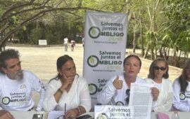 Activistas anuncian amparo para frenar afectaciones en el Ombligo Verde por obras de Catedral de Cancún