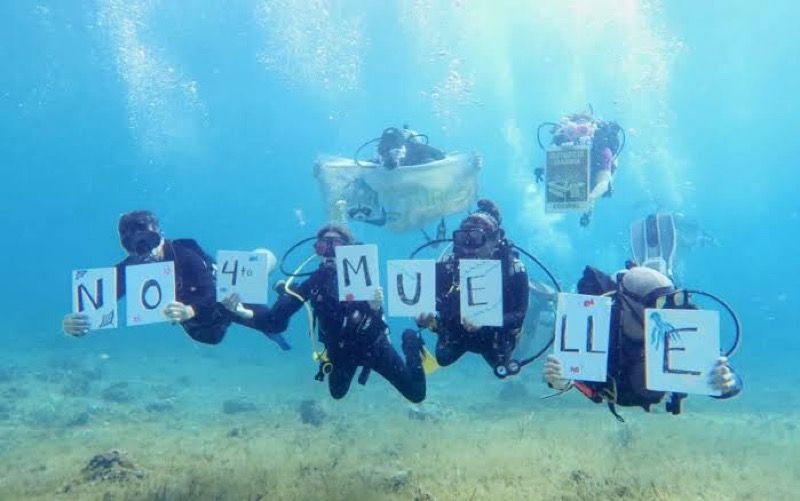 Suspende empresa “temporalmente” construcción de Cuarto Muelle en Cozumel (comunicado)