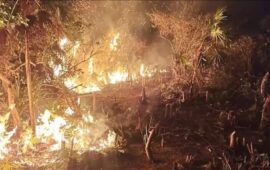 ¿NEGOCIO INMOBILIARIO? | Exigen investigar sospechoso incendio en Holbox, y prohibir cambio de uso de suelo en esos terrenos