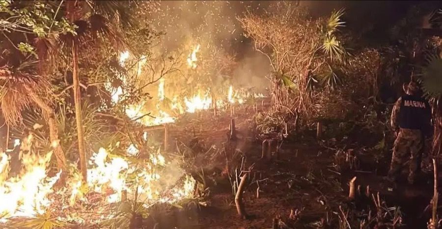 ¿NEGOCIO INMOBILIARIO? | Exigen investigar sospechoso incendio en Holbox, y prohibir cambio de uso de suelo en esos terrenos