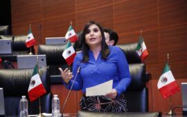 Mayuli Martínez pide a Semarnat y Profepa proteger a más de 100 delfines en disputa empresarial
