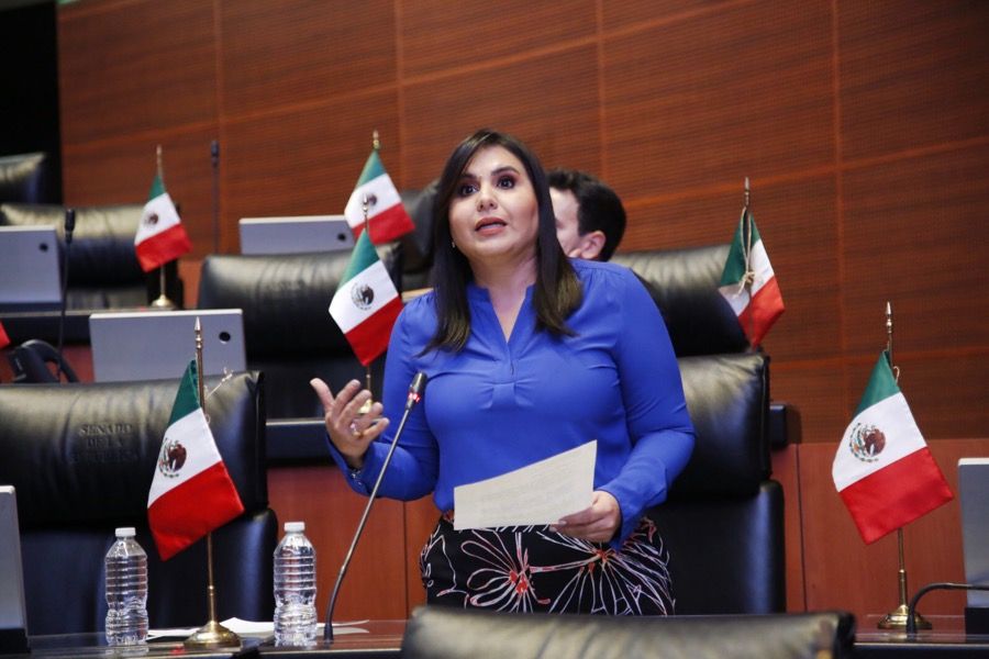 Mayuli Martínez pide a Semarnat y Profepa proteger a más de 100 delfines en disputa empresarial