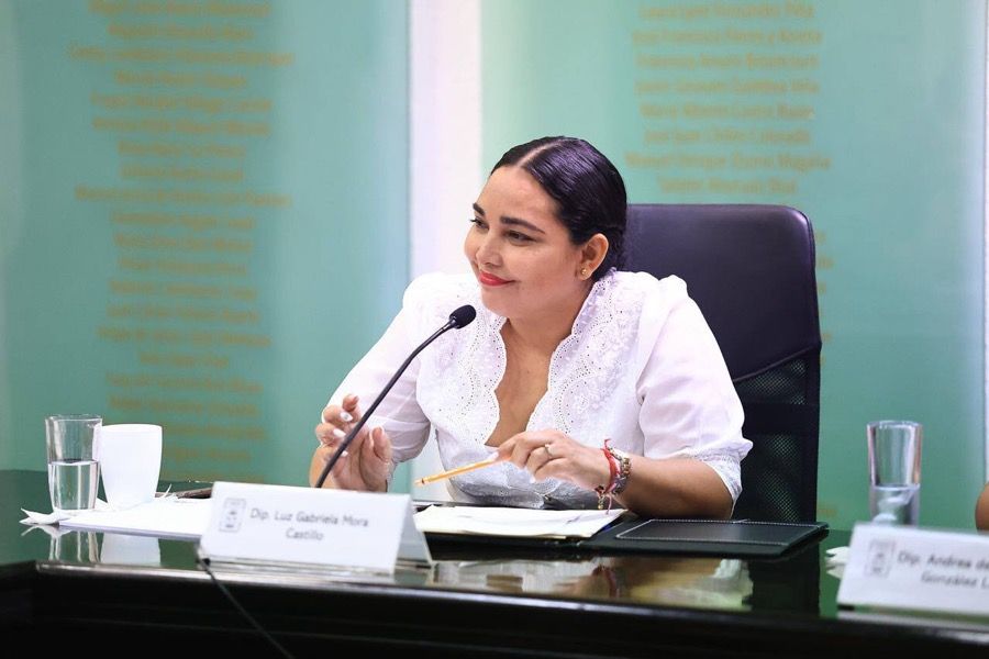 Renuncia al PVEM diputada Gabriela Mora | Denuncia que la quitaron de la presidencia de una comisión sin justificación