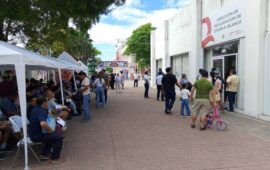 Causa molestia exigencia de constancia fiscal para reemplacar vehículos