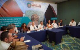 “Queremos que Cozumel, Isla Mujeres y Holbox cuenten con el IVA al 8%”: Marybel Villegas