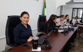 PAPELÓN DEL IEQROO | Ordena a Marybel borrar bardas; pero las de Gino las borrarán gobiernos de Ana Paty y Estefanía (documentos)