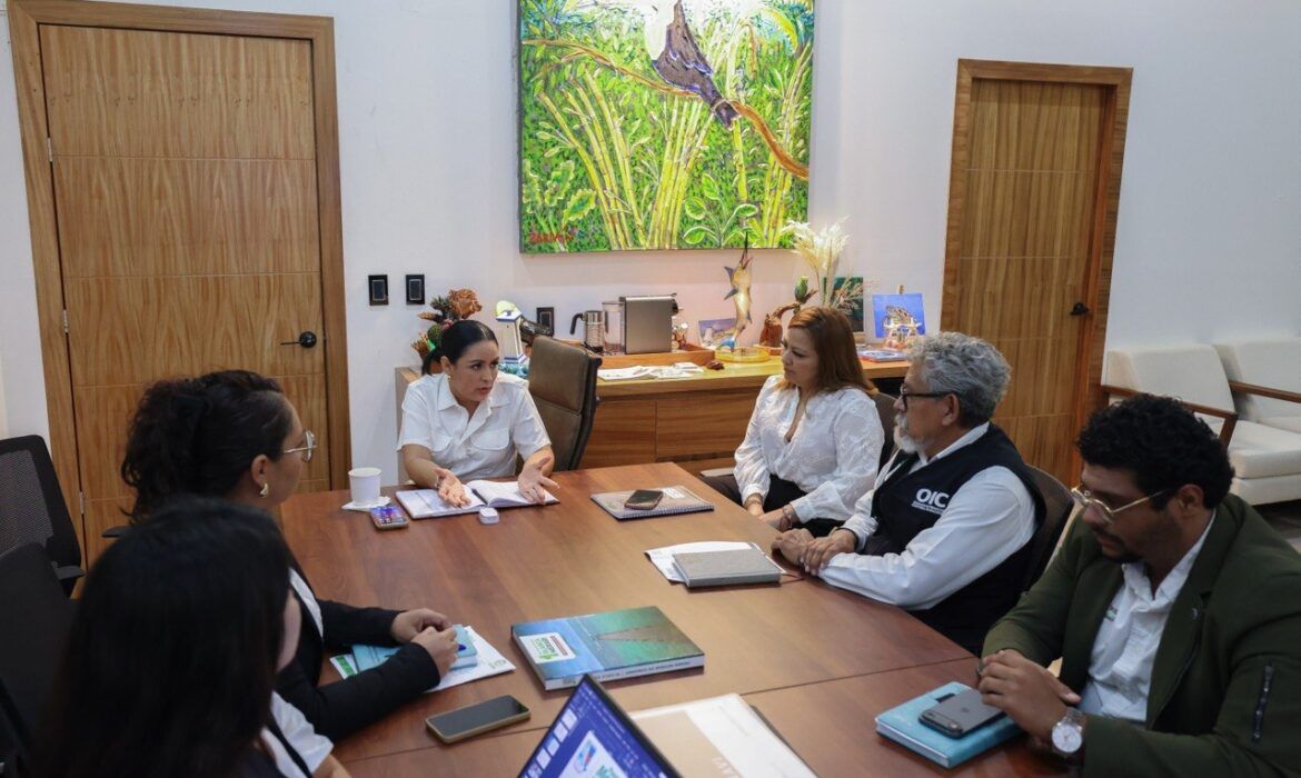“Fortalecemos la transparencia y rendición de cuentas en Puerto Morelos”: Blanca Merari