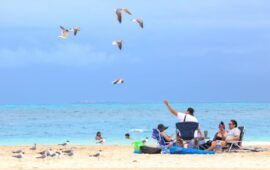 Más de 2700 cancunenses van a las playas en semana santa con “Ruta Mar”
