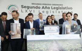 PAN exige frenar el Tren Maya, investigar corrupción y activar inspección ambiental urgente