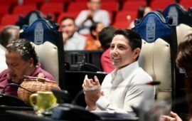 Congreso endurece sanciones por maltrato post mortem a animales; impulsan regulación de crematorios en Quintana Roo