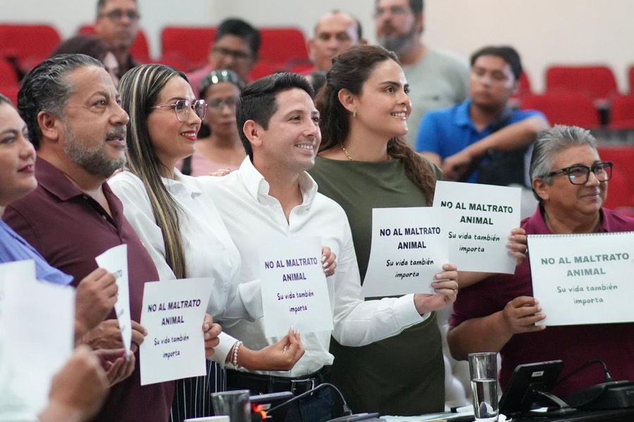 En Quintana Roo se endurecen penas contra el maltrato animal; dice Renán Sánchez Tajonar
