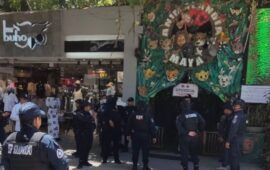 “Algo que ningún gobierno municipal se había atrevido a hacer” | Catean ‘Animalandia’ de la Quinta Avenida y detienen a su propietario