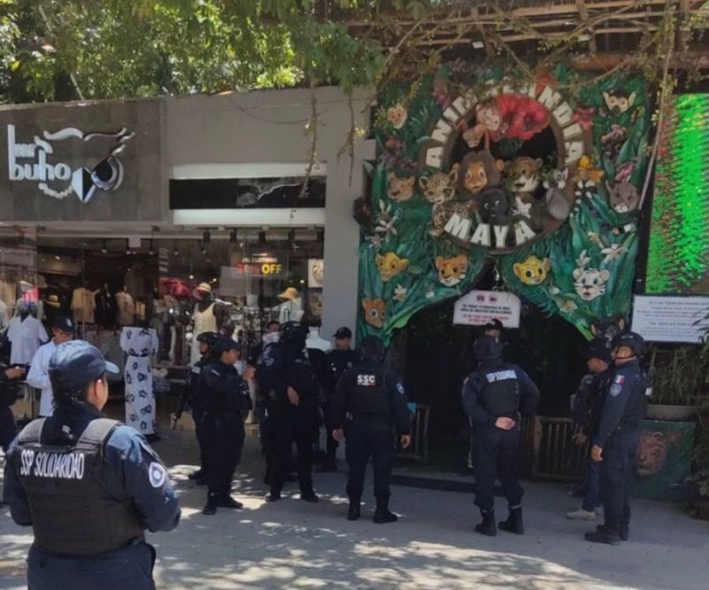 “Algo que ningún gobierno municipal se había atrevido a hacer” | Catean ‘Animalandia’ de la Quinta Avenida y detienen a su propietario