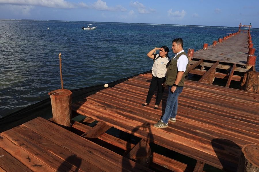 Supervisa Blanca Merari avance de la reconstrucción del Muelle de Pescadores en Puerto Morelos